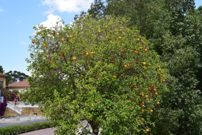 DSC_1352.JPG