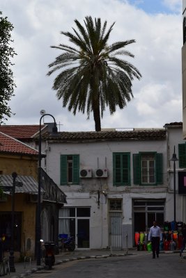 DSC_1373.JPG