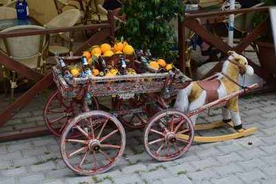 DSC_1376.JPG