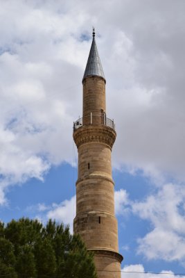 DSC_1387.JPG