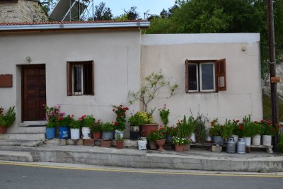 DSC_1441.JPG