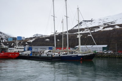 DSC_1777.JPG