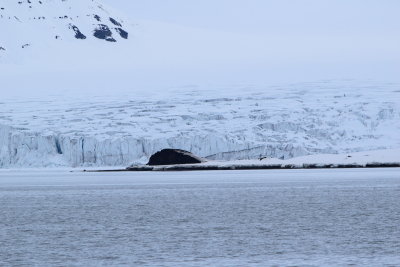 DSC_1826.JPG