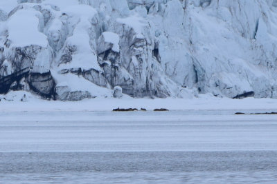 DSC_1828A.jpg
