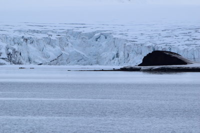 DSC_1842.JPG