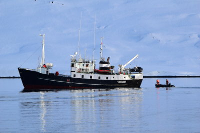 DSC_1996.JPG