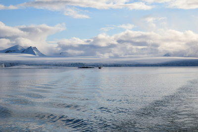 DSC_2050.JPG