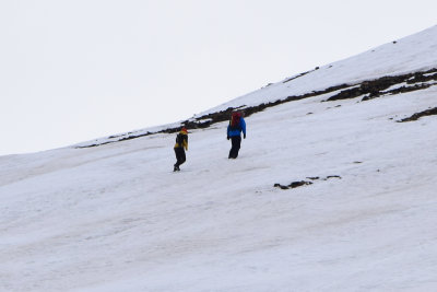 DSC_2125A.jpg