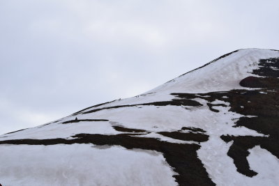 DSC_2127.JPG