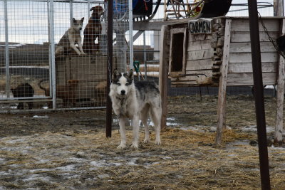 DSC_2174.JPG