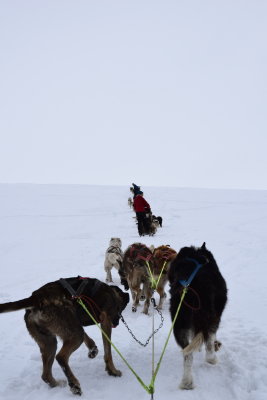 DSC_2215.JPG