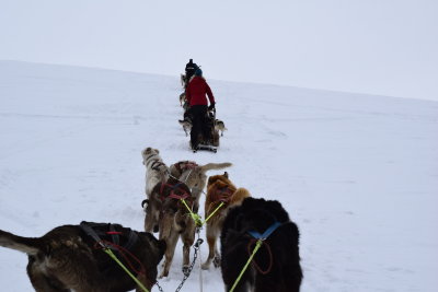DSC_2218.JPG