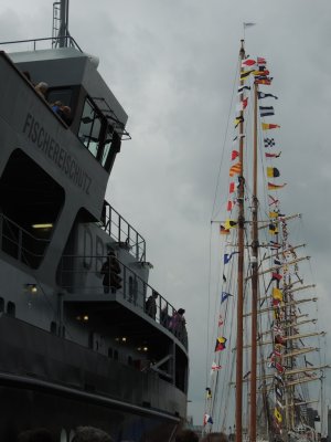 DSCN6369.JPG