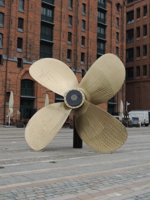 DSCN6447.JPG
