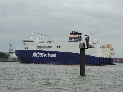 DSCN6502.JPG