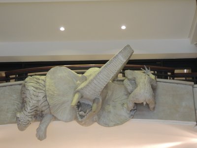 DSCN6658.JPG