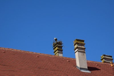 DSC_2326.JPG