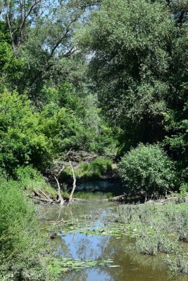 DSC_2243.JPG