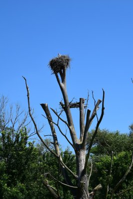 DSC_2248.JPG