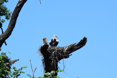 DSC_2260.JPG