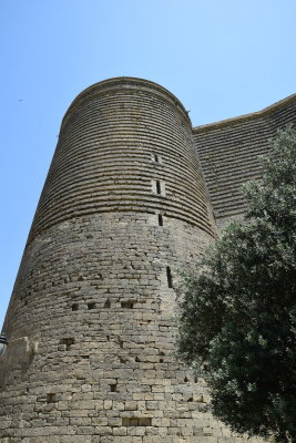 DSC_2548.JPG