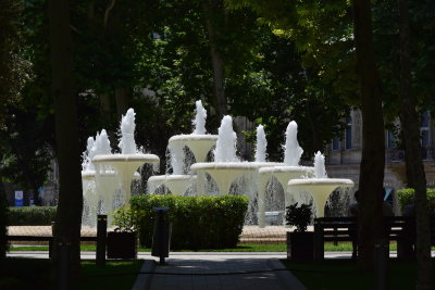 DSC_2577.JPG