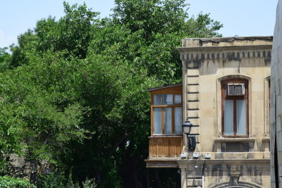 DSC_2595.JPG