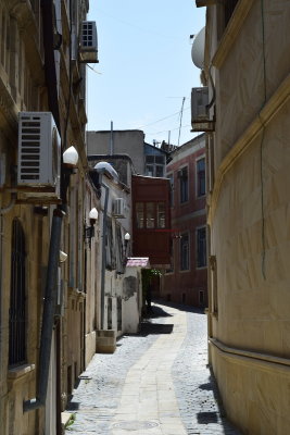 DSC_2600.JPG