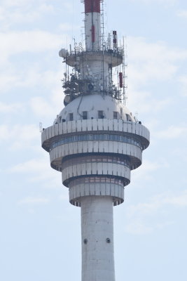 DSC_2665.JPG