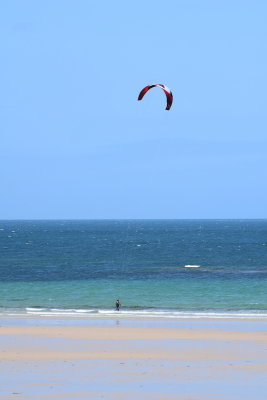 DSC_3117.JPG