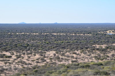 DSC_3227.JPG
