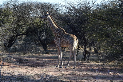 DSC_3238.JPG