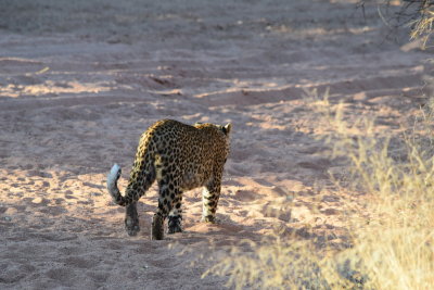 DSC_3262.JPG