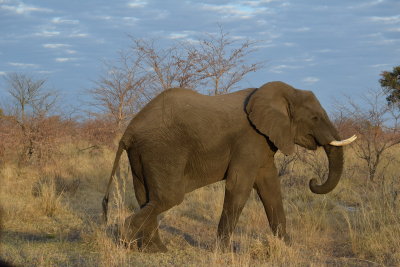 DSC_4603.JPG