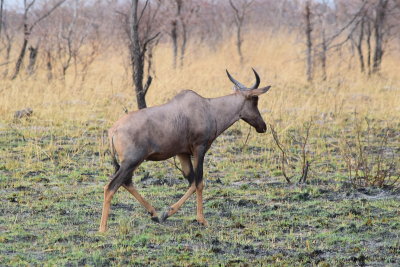 DSC_4674.JPG