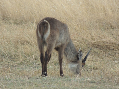 DSCN7602A.jpg