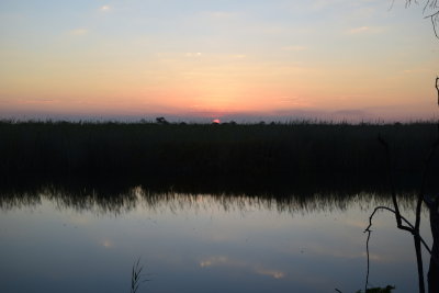 DSC_4740.JPG