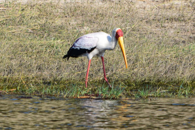 DSC_4765A.jpg