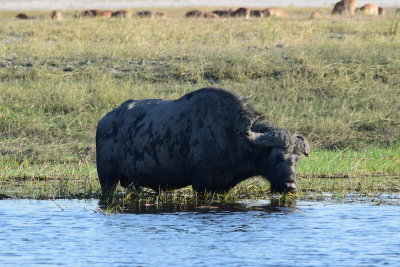 DSC_4845.JPG