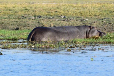 DSC_4856.JPG