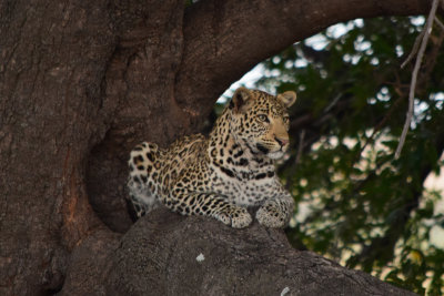DSC_5047A.jpg