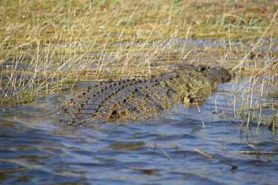 DSC_5218.JPG