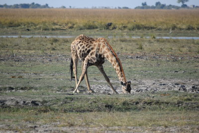 DSC_5408.JPG