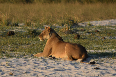 DSC_5503A.jpg