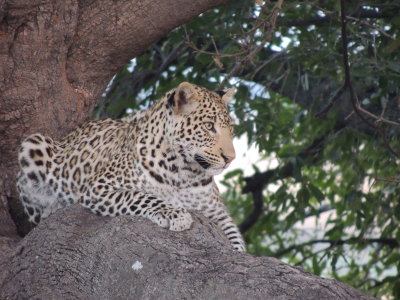 DSCN7739.JPG