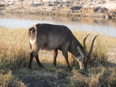 DSCN7939.JPG