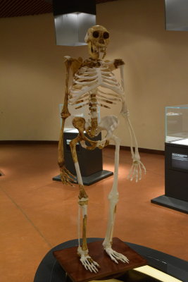 DSC_6217.JPG