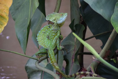 DSC_8141.JPG