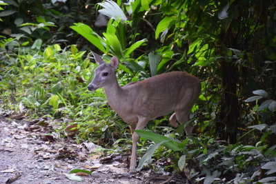 DSC_8777.JPG