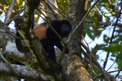 DSC_8793A.jpg